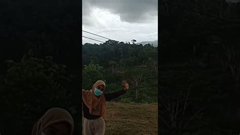 Alam Bukit Barisan Di Semendo Shorts Videos Alam Wisata Bukit