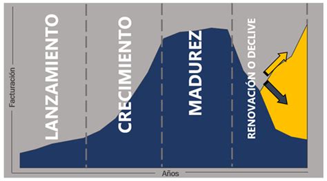 Ciclo De Vida De Una Empresa