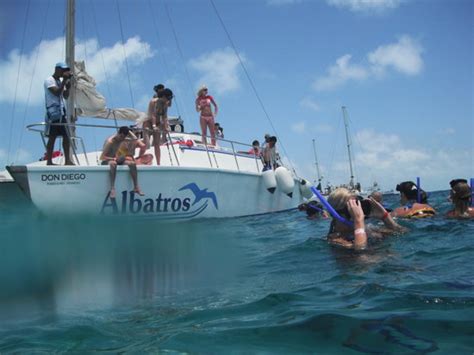 Albatros Catamaran Private Charters Cancun Mexico Address Phone Number Boat Tour Reviews