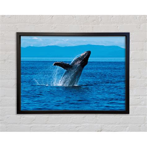 Bright Star Whale Ocean Jump Einzelner Bilderrahmen Kunstdrucke Auf