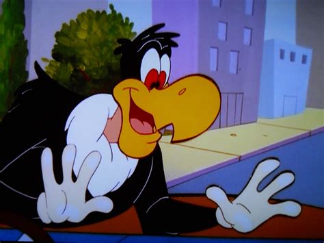 Category:Cartoons featuring Buzz Buzzard | The Woody Woodpecker Wiki