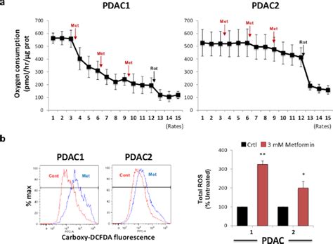 Sphere Formation Assay An In Vitro Method To Identify Pancreatic Cancer Stem Cells And Screen