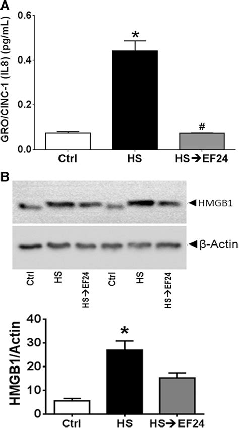 EF24 treatment reduces hemorrhage-induced CINC-1 and HMGB1 expression ...