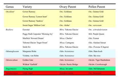 Parents of 15 varieties of Oncidiinae. 1Yellow background: Oncidium;... | Download Scientific ...