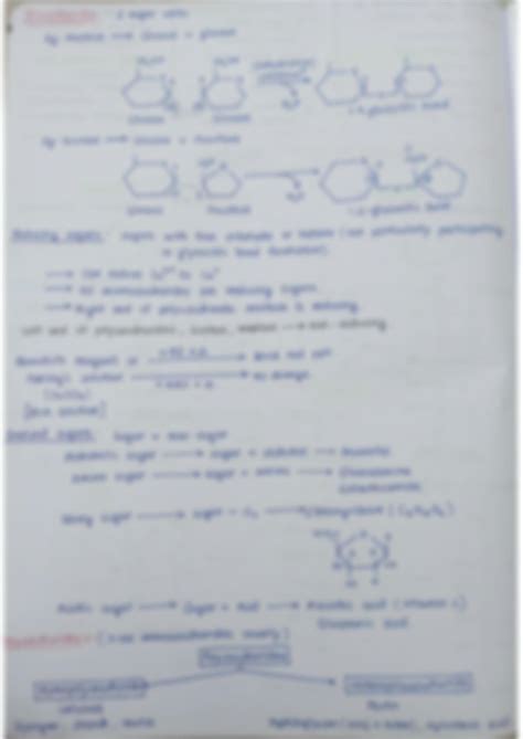 Solution Biomolecules Full Notes Studypool