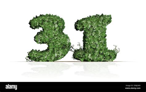 Number 31 Created Of Green Ivy Leaves Isolated On A White Background