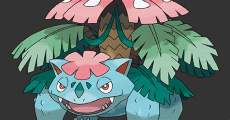 Pokemon Mega Evolution Venusaur