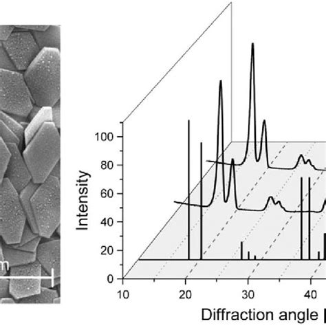 Structure Of The Gibbsite Filler Left Sem Image Of Hexagonal