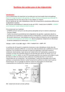 Biosynth Se Des Acides Gras