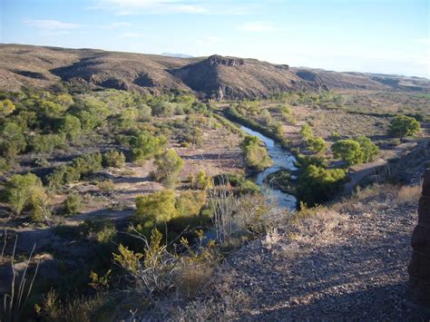 Southwestern Willow Flycatcher | Working Lands For Wildlife