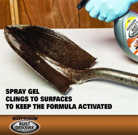 Rust-Oleum 300112 Rust Dissolver Gel, 32-oz Spray Bottle - Calcium ...