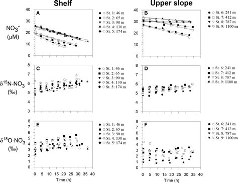 Frontiers Nitrogen Cycling In Sediments On The NW African Margin