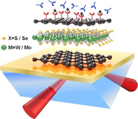 GrapheneTMDCGraphene Hybrid Plasmonic Metasurface For Enhanced