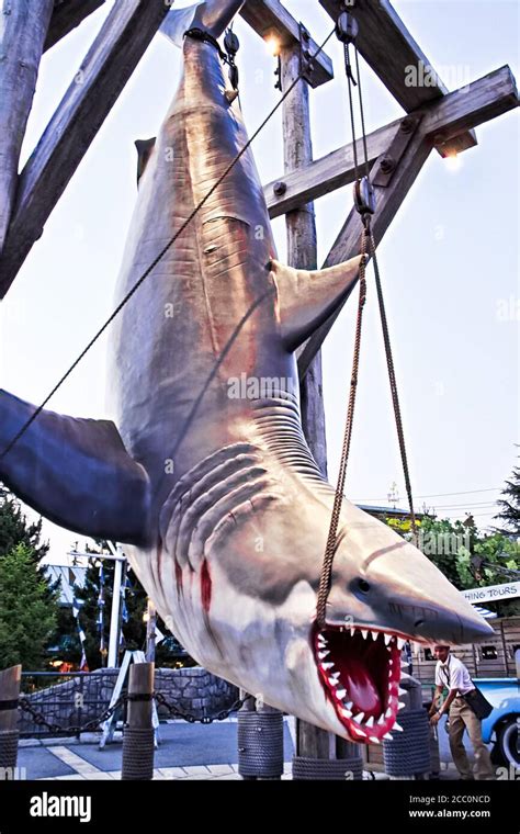 Jaws Of Life High Resolution Stock Photography and Images - Alamy