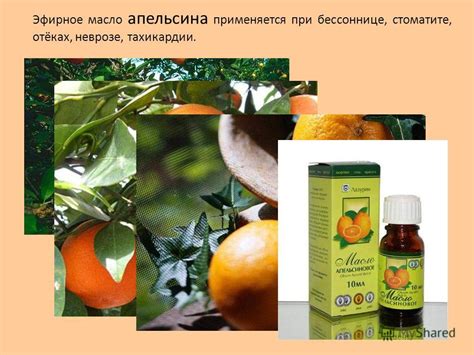 Презентация на тему: "1 ноября 2013 г.Яковлева Л.А. Курганская область ...