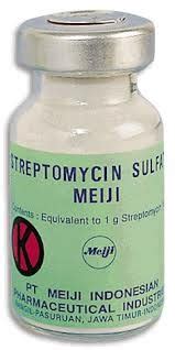 Streptomycin Injection At Best Price In India