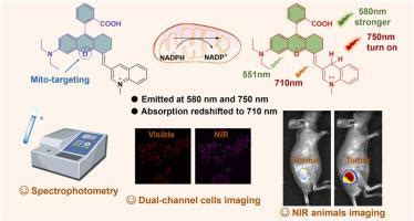 A Quinoline Based Indicator For NAD P H Multimodal Detection In Vitro