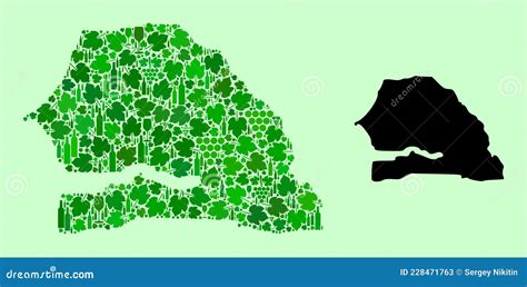 Mappa Della Composizione Senegalese Delle Foglie Di Vino E Di Uva