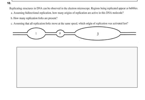 SOLVED: Replicating structures DNA can be observed in the electron ...