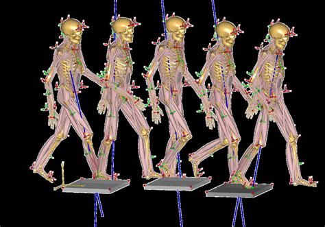 Computational Modeling Software Simulation Model Medical