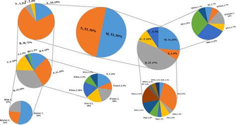 Haplogroup distribution of the 106 Mongolians sampled from Xinjiang ...