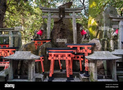 Shinto Religion From Japan All You Need To Know Knowledge 41 Off