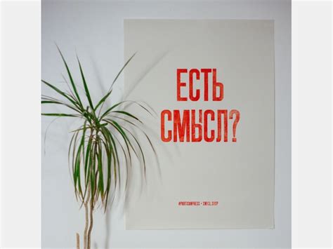 Что подарить дизайнеру? 10 небанальных идей / Skillbox Media