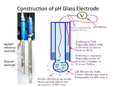 P h glass electrode