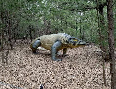 Megalania