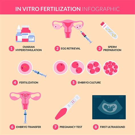 Understanding The Ivf Process Step By Step By Lifeatgenomeindia Medium