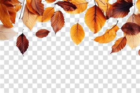 Autumn Leaves Backgrounds Plant Leaf Premium Ai Generated Psd