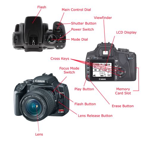 Sophie Elizabeth Lynch: Parts & functions of Camera parts & controls ...