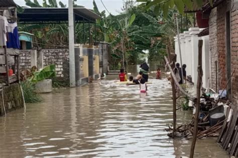 Bengawan Solo Siaga Ratusan Rumah Di Lamongan Kebanjiran