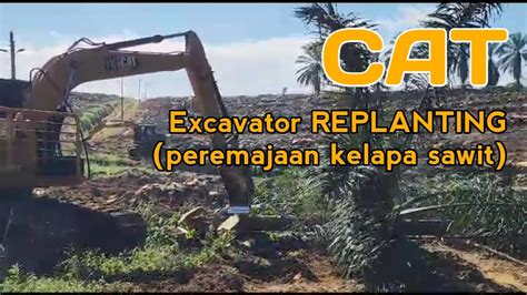 Cara Kerja Cat Excavator Melakukan Replanting Peremajaan Kelapa Sawit