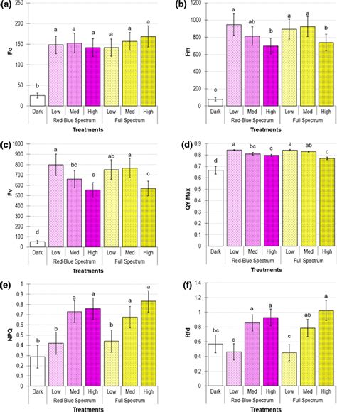 Data On Various Chlorophyll A Fluorescence Parameters From In Vitro