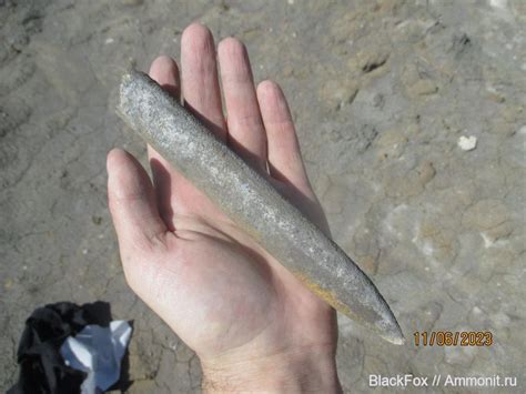 Ростр белемнита - Находки из разных мест, и разных периодов