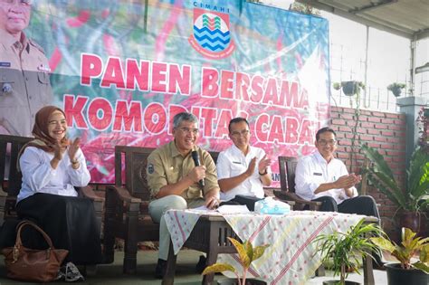 Panen Pertama Gerakan Tanam Pangan Cepat Panenhortikultura Kota Cimahi