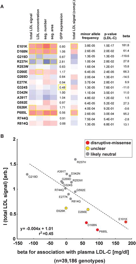 Impact Of Individual LDLR Missense Variants On Cellular LDL Uptake