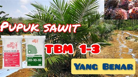 Cara Pemupukan Tanaman Kelapa Sawit Tbm 1 3 Yang Benar Youtube