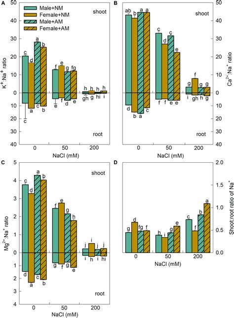 Frontiers Sex Specific Differences In The Physiological And