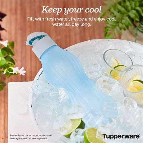 Tupperware Extreme Aqua Freezer Eco Bottle 880ml Shopee Philippines