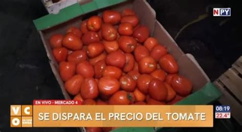 VIDEO Aumento En El Precio Del Tomate De Oro