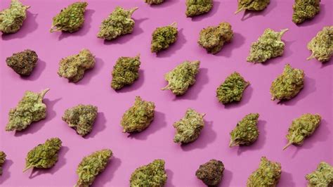 The 7 Best Indica Strains Cannabis10x