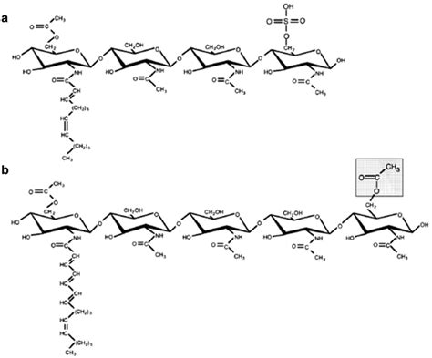 Nod Factor Variation In Sinorhizobium Meliloti A And Rhizobium