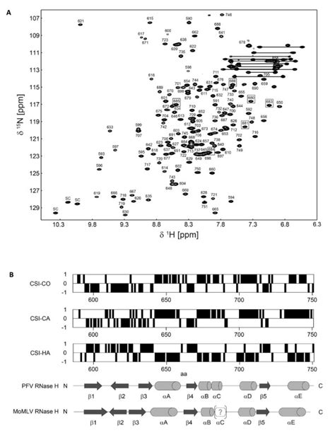 Nmr Backbone Assignment A [1h 15n] Spectrum Of The Uniformly Download Scientific Diagram