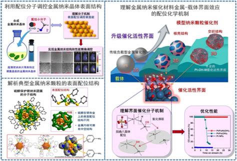 中国科协 九大”代表郑南峰课题组成果获2018年度国家自然科学二等奖宁德市科学技术协会