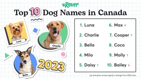 Most Trending Dog Names in Canada