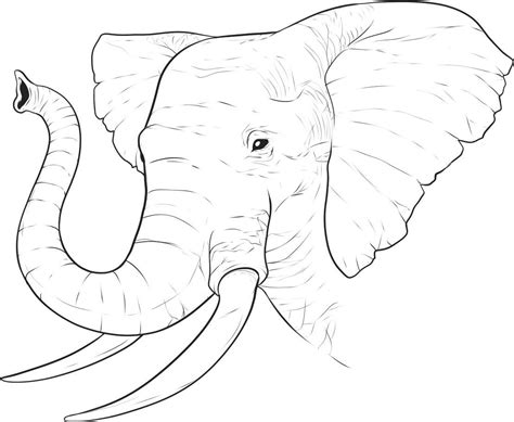 Free Printable Elephant Coloring Pages For Kids