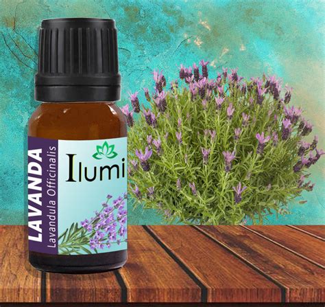 Aceite Esencial De Lavanda Ml Djinn Guatemala