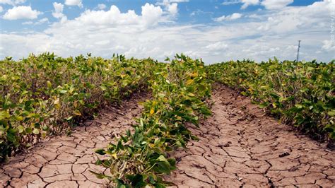 Drought conditions expand in Minnesota, Iowa - ABC 6 News - kaaltv.com